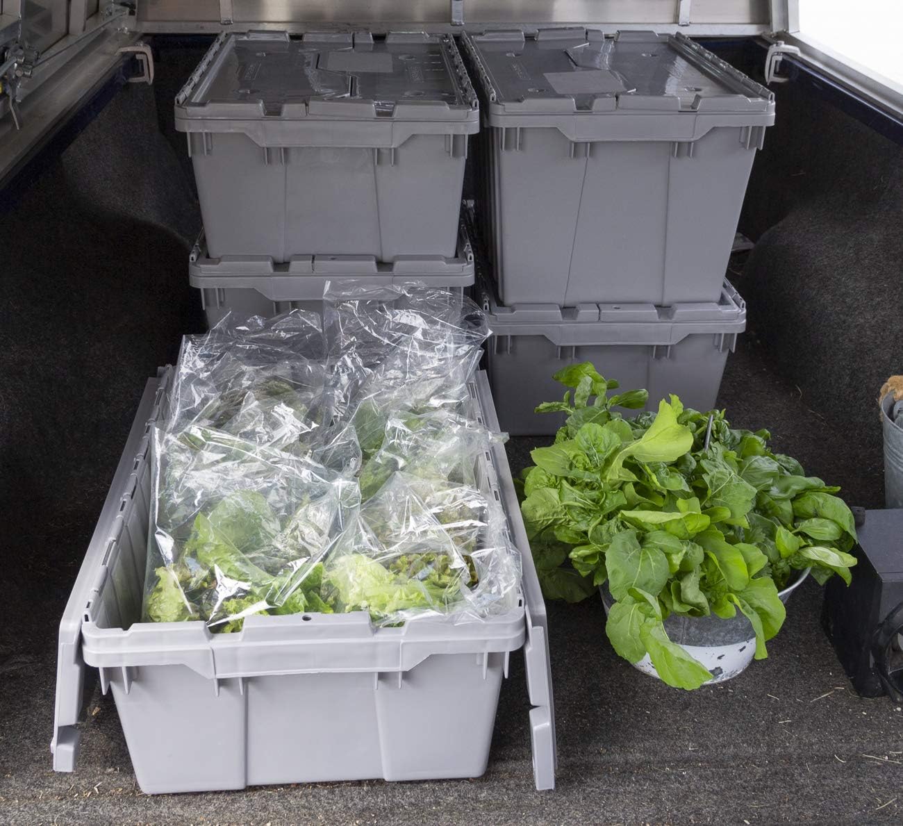 712GlX-1HpL._AC_SL1300_