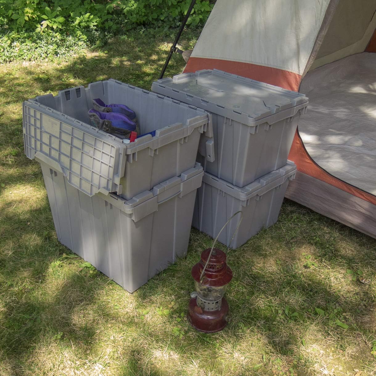 81D7qoP+ewL._AC_SL1220_